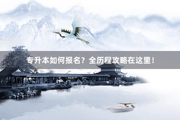 专升本如何报名？全历程攻略在这里！